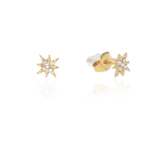 Ohrstecker aus Edelstahl in Goldfarbe mit Zirkonia für Damen-herren